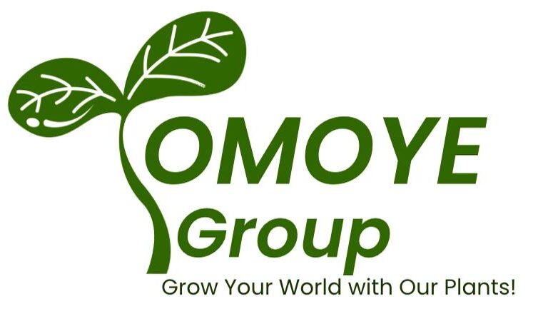 Omoye-group